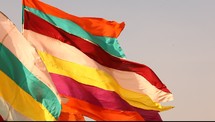 colorful flags blowing in the breeze 