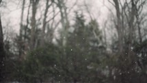 Snow falling in slow motion on a cold winter's day