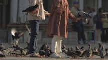 A slowmotion of two women feeding pigeons