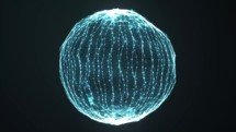 Animation Of Digital Sphere Network Of Connections