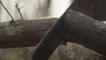 Man chopping wood down with a chainsaw in slow motion
