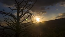 Timelapse of a mountain sunset beyond a barren tree