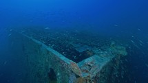 Wreck of the Rosalie Moller - Red Sea