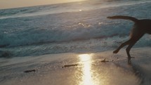 Slow-motion shot waves at the shore of the beach during sunset in Puerto Escondido, Mexico	