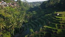 Ubud Bali Indo 