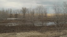 Small water pond surrounded by lifeless, leafless trees in winter in barren, rocky area.