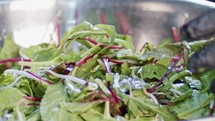 Green salad prepared in slow motion with carrots, leaves, lettuce and sprouts