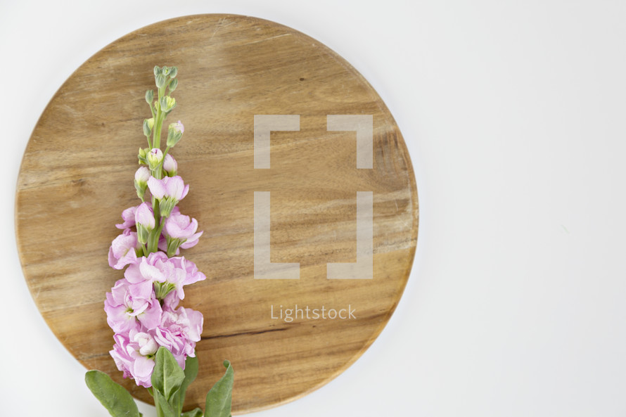 pink flowers on a circle wood board 