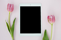 pink tulips on a light pink background with iPad 
