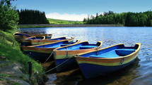 Rowboat moored near shore. Boat rental business.