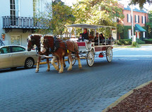 Charleston South Carolina by horse buggy