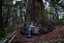 a woman hugging a giant redwood tree 