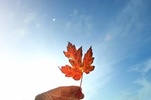 a woman holding up a fall leaf 