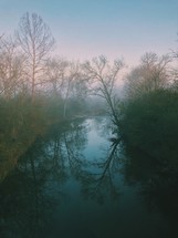 bare trees in a foggy forest along a river at sunrise 
