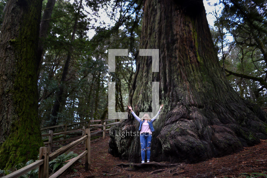 a woman standing next to a redwood tree