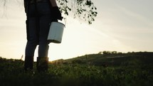 Fresh milk concept. Woman pours milk into can at sunset. Young female farmer is pouring a fresh milk to filling a can on a dairy farm. Farmer pours milk into can, in the background of redhead cow.