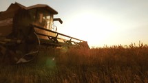 Wheat harvest concept. Combine harvester gathers the wheat crop. Harvester machine harvesting golden ripe wheat field on an agricultural field at sunset. Industry agriculture food production.