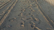 Footprints on the beach near the sea