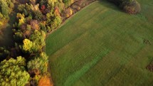 Aerial drone view over autumn forest of the Carpathian rural landscape. Colorful trees in the wood
