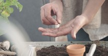 a woman putting potting soil into clay pots and planting seeds