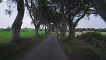 The Dark Hedges in Northern Ireland a Popular Tourist Attraction