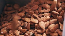 Slow motion of Almonds falling from a conveyor belt in a processing facility