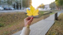 Person holding yellow tree leaf in hands on background city on sunny day. Concept of autumn, walks, fall foliage. Colorful falling autumn leaf.