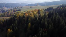 Aerial drone view over autumn forest of the Carpathian rural landscape. Colorful trees in the wood