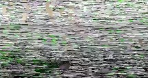 TV static noise, glitching on television screen with poor signal.
