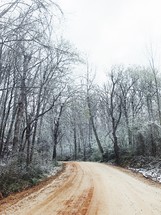 dirt road and a dusting of snow on trees 