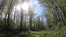 Time Lapse of the moving clouds on a narrow path in the forest with a bright blue sky on Langeoog island, Germany
