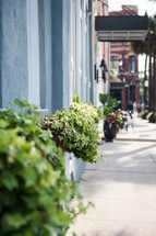 sidewalk in Charleston, SC