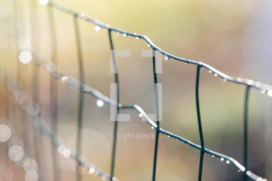 water droplets glistening on a fence 