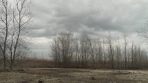 Birds fly over desolate and barren looking wilderness area with grey, cloudy, overcast sky with rain clouds, dead, barren trees and rocky dirt area.