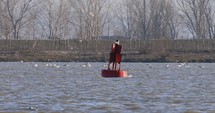 Red bouy floating in flowing water of the Danube River with a flock of seagulls in the background.
