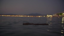 Close-up of a log drifting in the calm, dark sea at twilight, subtly transitioning into blur, with distant city lights aglow in background.