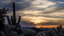 Timelapse of a colorful sunset beyond exotic cacti in the desert