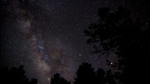 Timelapse of Milky Way stars over trees in the forest