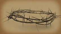 Close-up of 3D crown of thorns with depth of field.