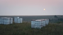 White Beehives On The Prairie