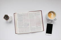 succulent plant, open Bible, iPhone, coffee mug, white background 