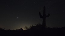 Time lapse of stars above a Saguaro cactus in the desert