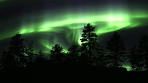 Tree Silhouettes Illuminated With Dancing Green Lights Of Aurora Borealis. Static Shot