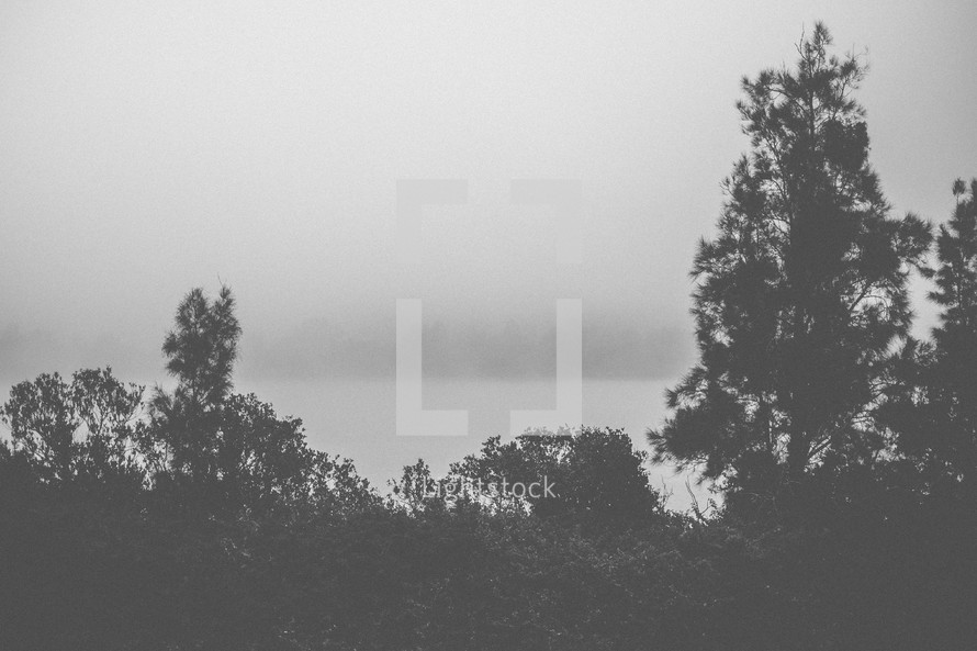 A foggy lake surrounded by trees.