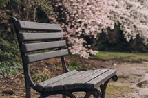 bench in a park in spring 