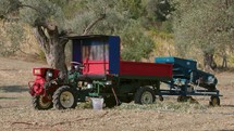Defoliator with tractor for olive harvesting in Calabria