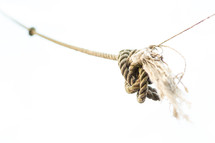 Frayed knot on a rope
