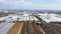 Intensive agriculture in controlled greenhouses