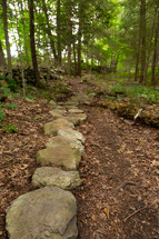Historic stone wall in forest