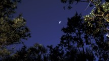 moon in an evening sky 